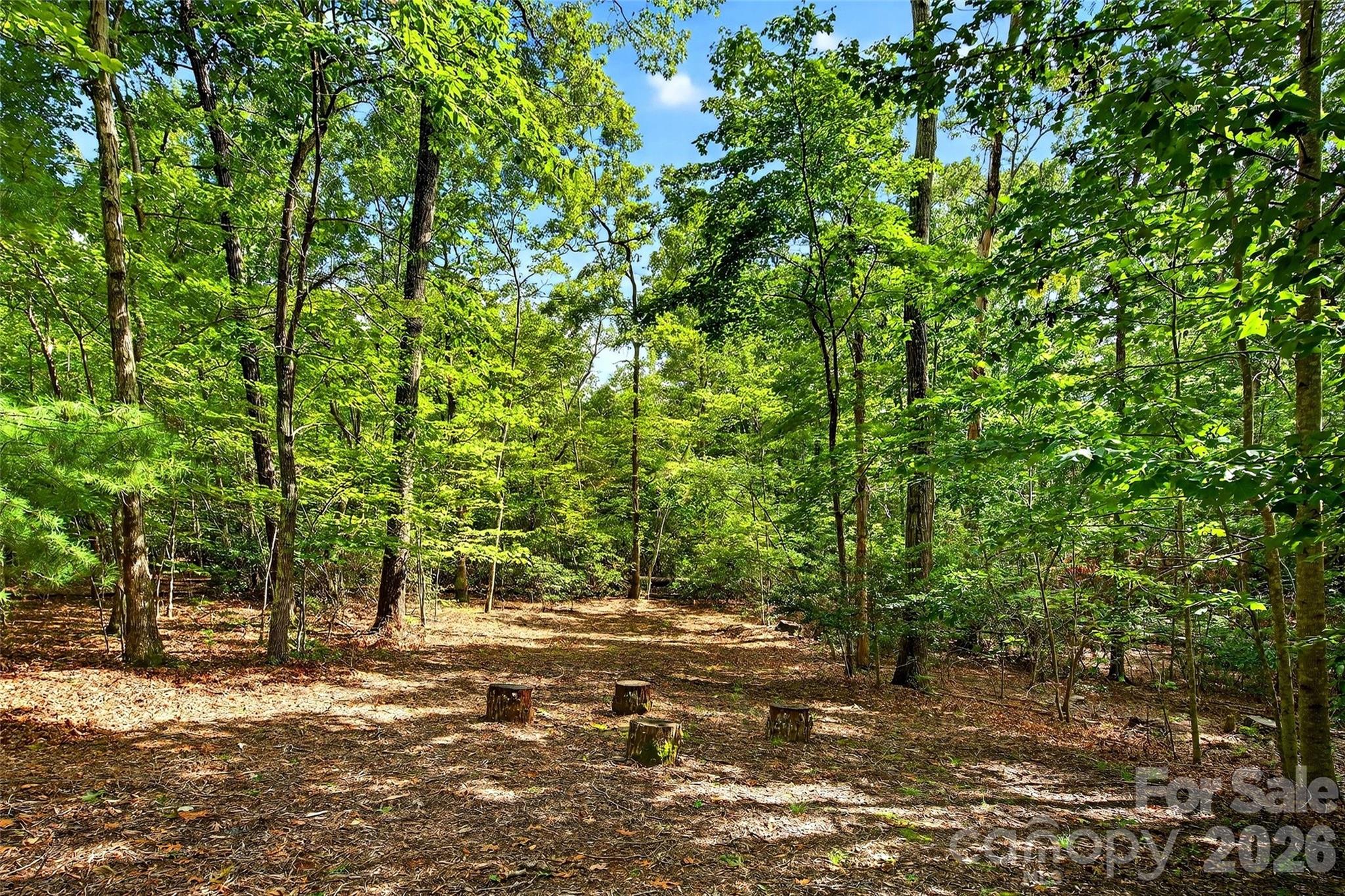 Forest Heights - Residential