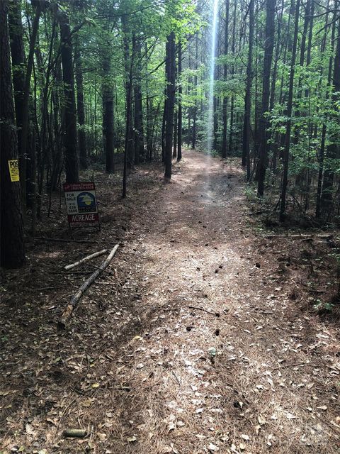 Photo of 70 acres Thickety Creek Road, Mount Gilead, NC 27306 (MLS # 4244159)