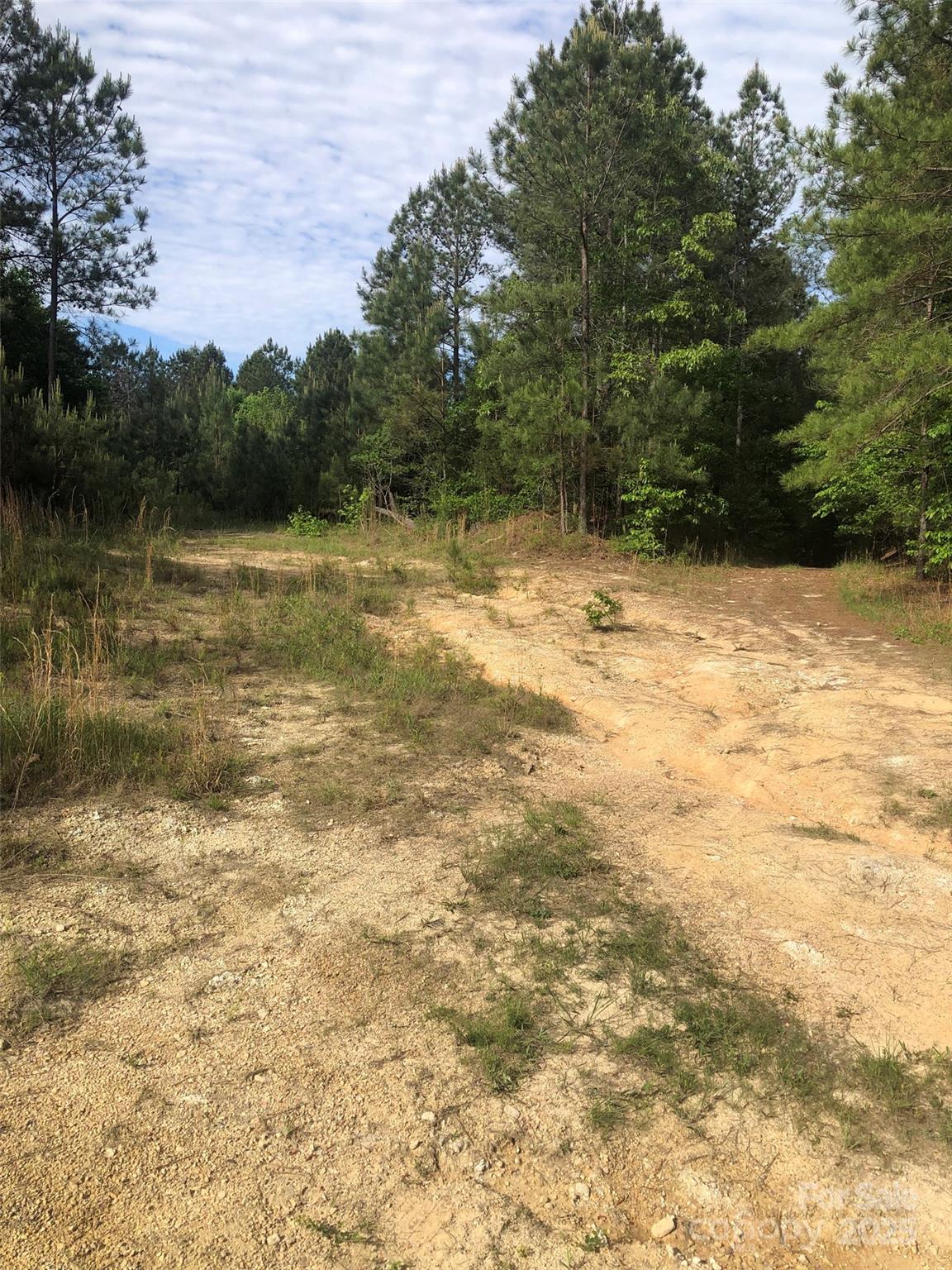 70 acres Thickety Creek Road