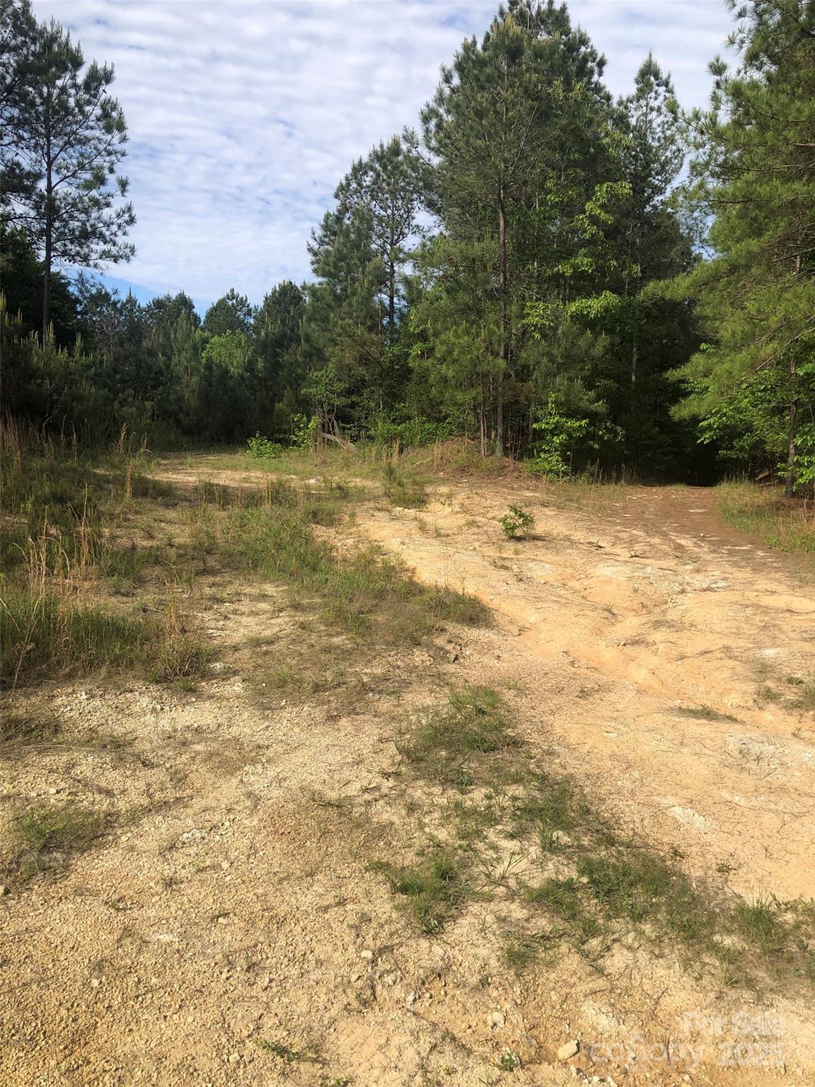 70 acres Thickety Creek Road