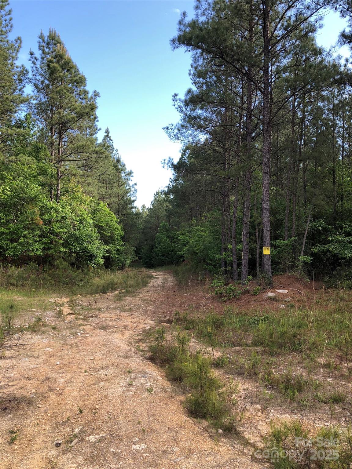 70 acres Thickety Creek Road