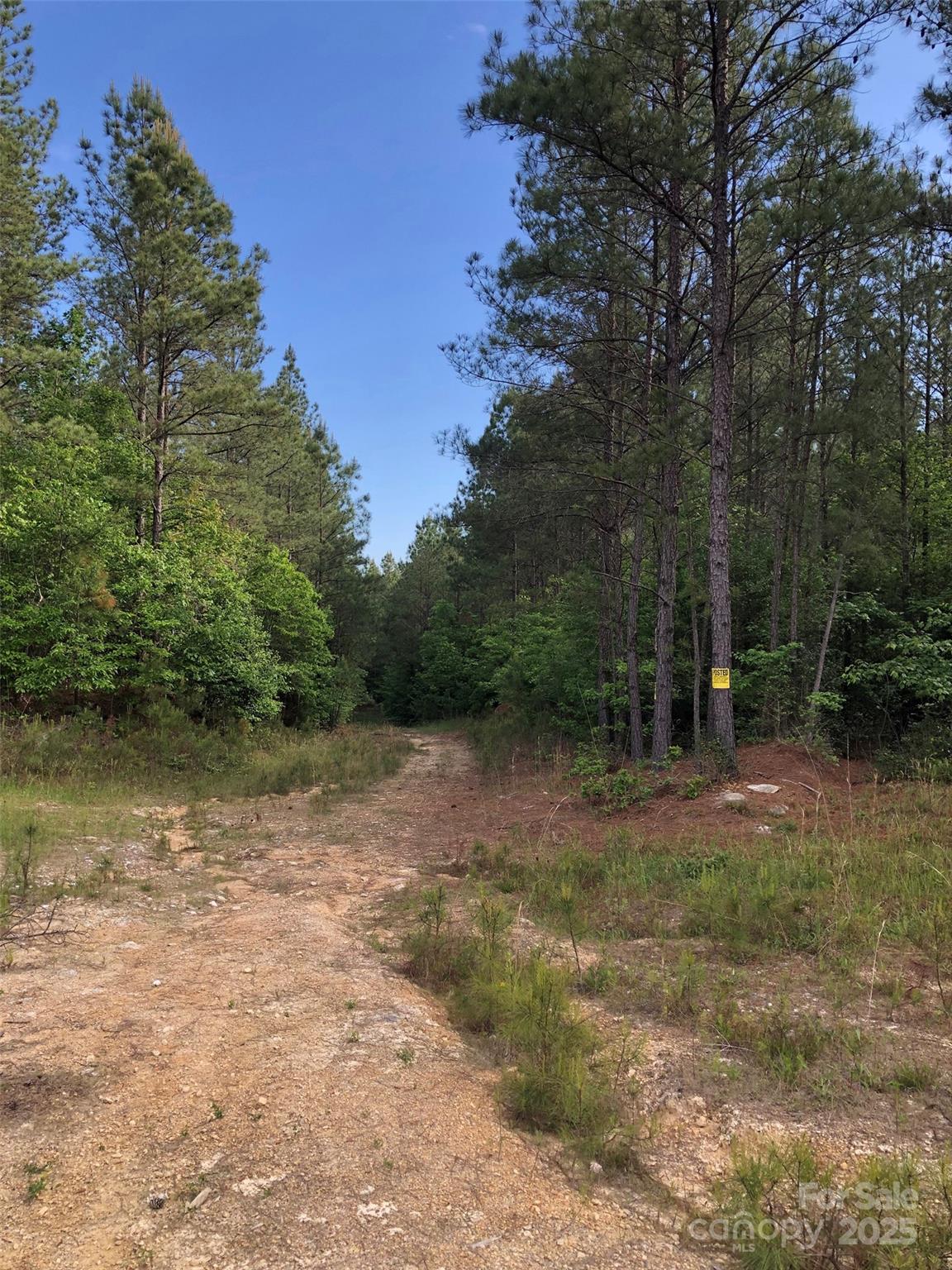 70 acres Thickety Creek Road