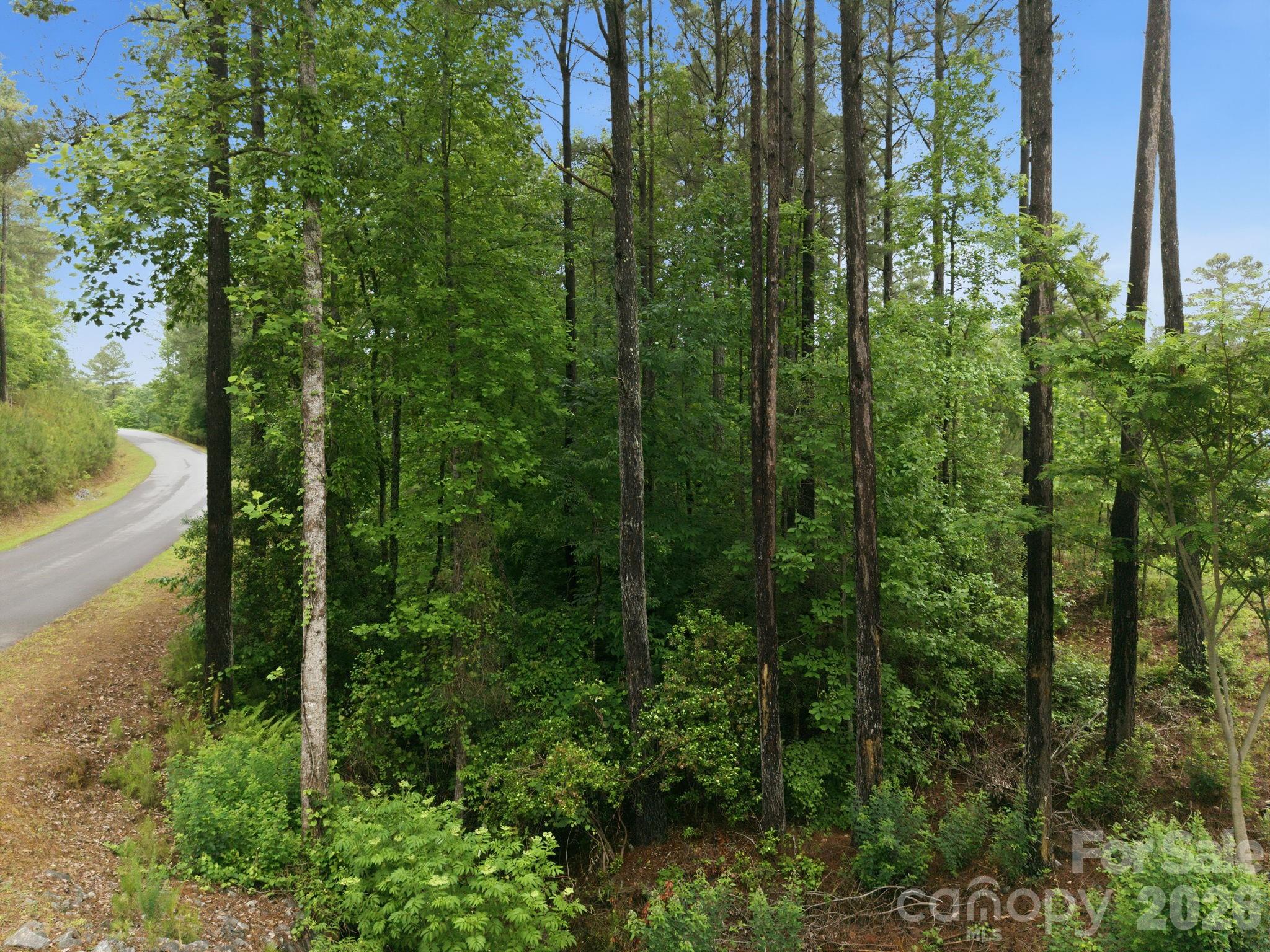 Island Pointe at Lake Vistas - Land