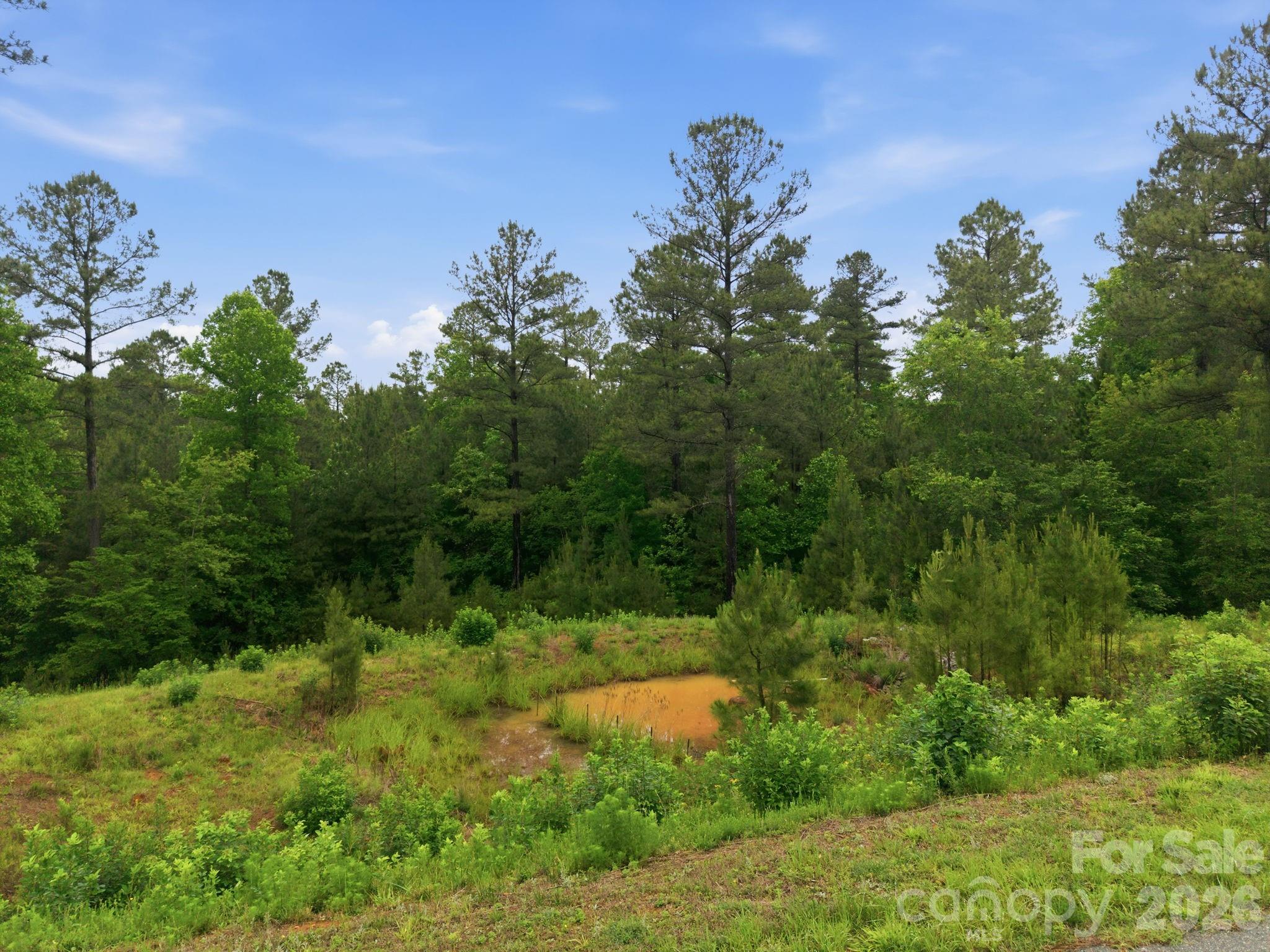 Island Pointe at Lake Vistas - Land