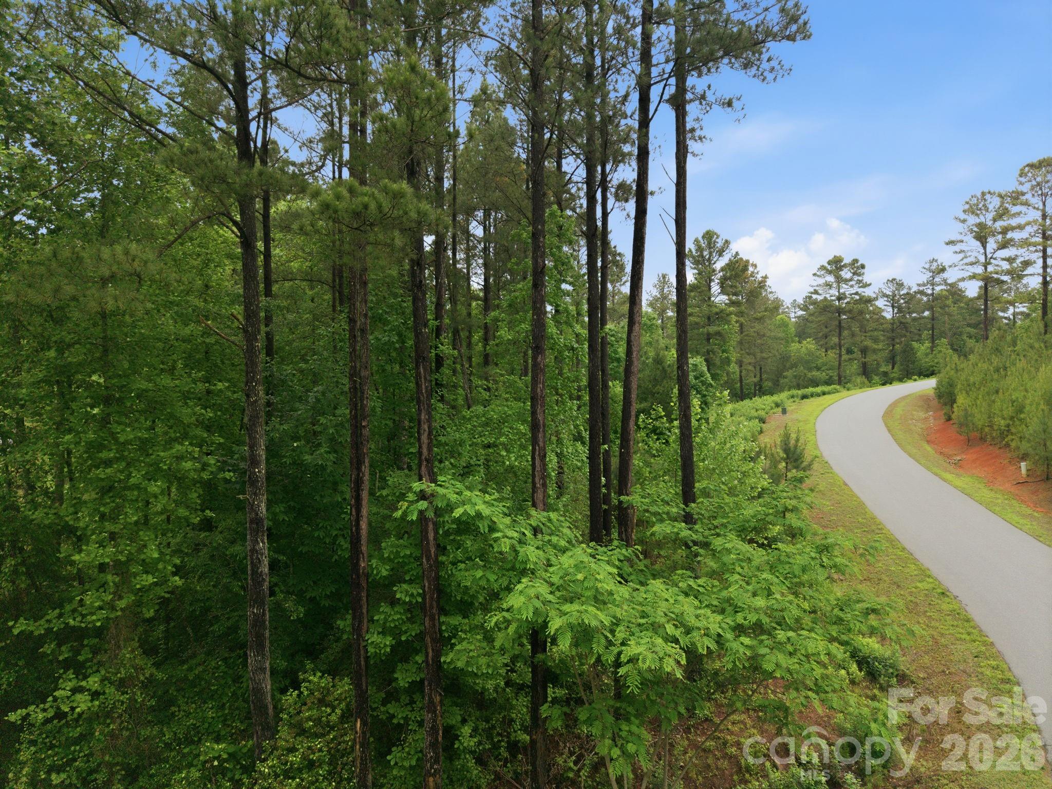 Island Pointe at Lake Vistas - Land