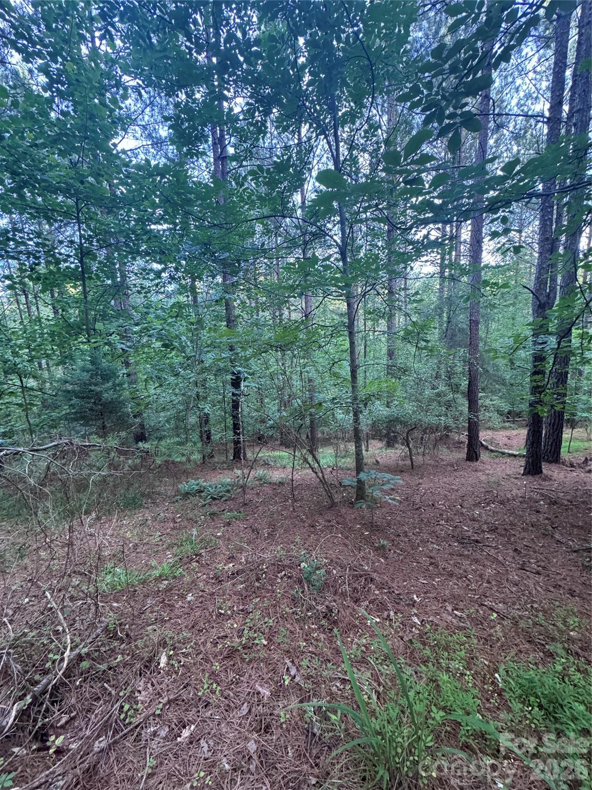 0 Clearwater Parkway 203