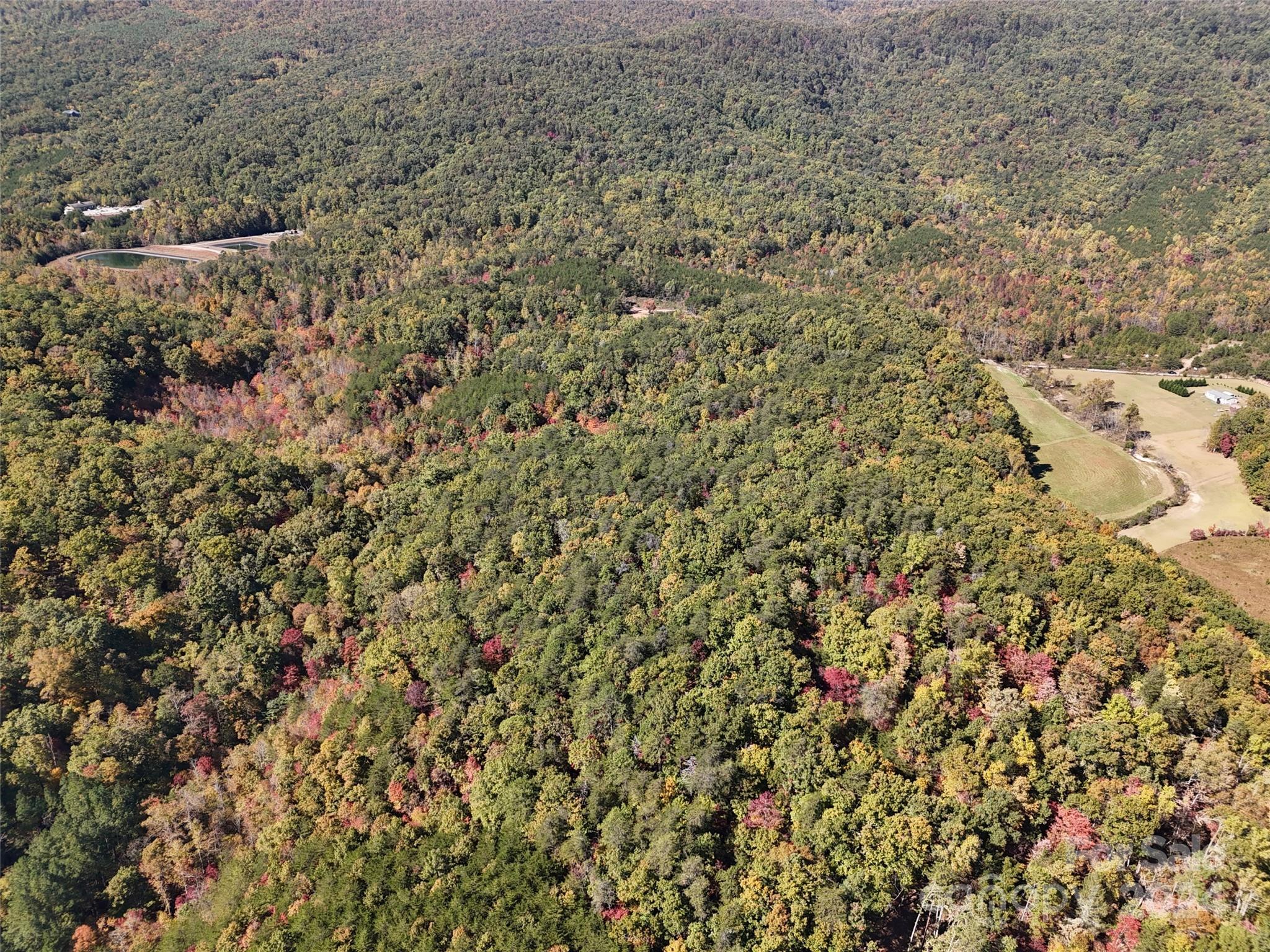 46.6 Acres Regan Jackson Road