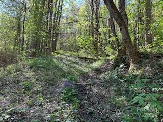 Villages of Plott Creek - Land