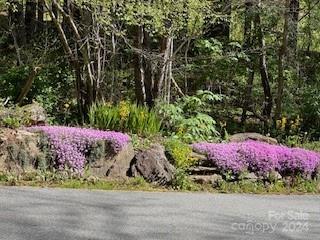 Villages of Plott Creek - Land