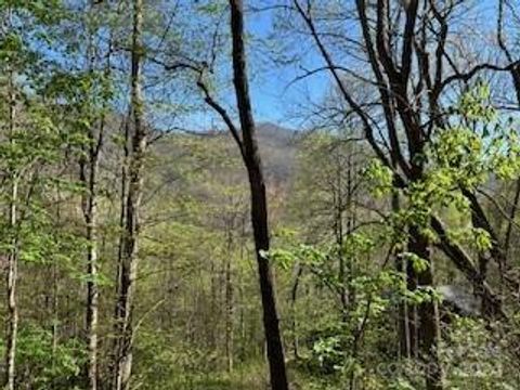 7A Chestnut Flats Lane 7 Waynesville NC 28786