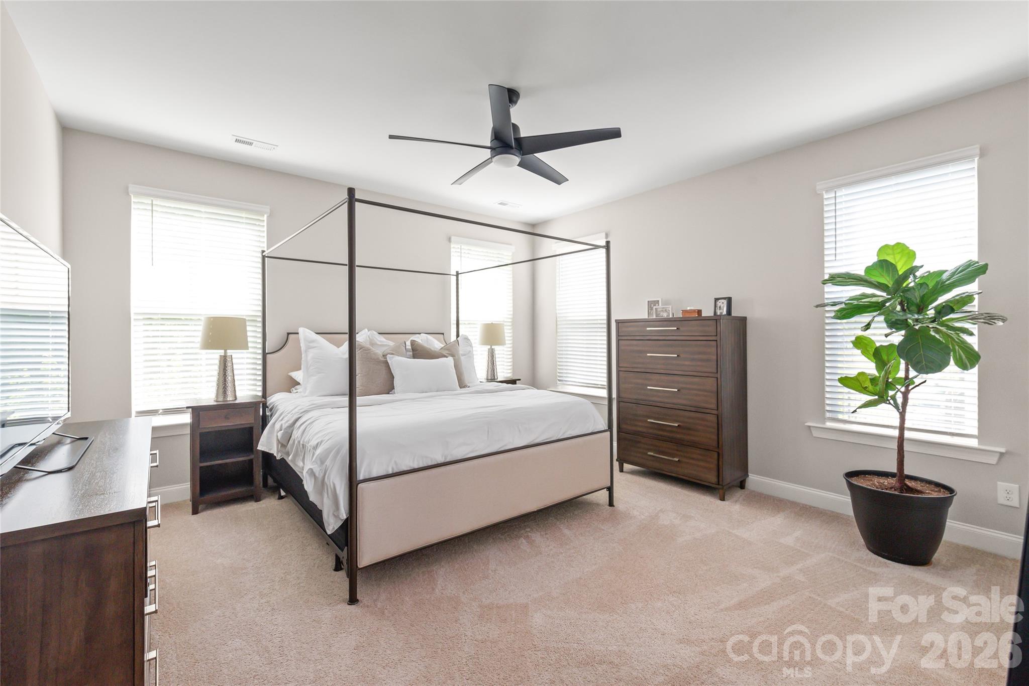 Wynswept - Residential