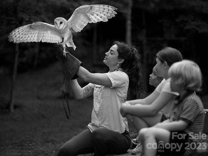 Balsam Mountain Preserve - Residential