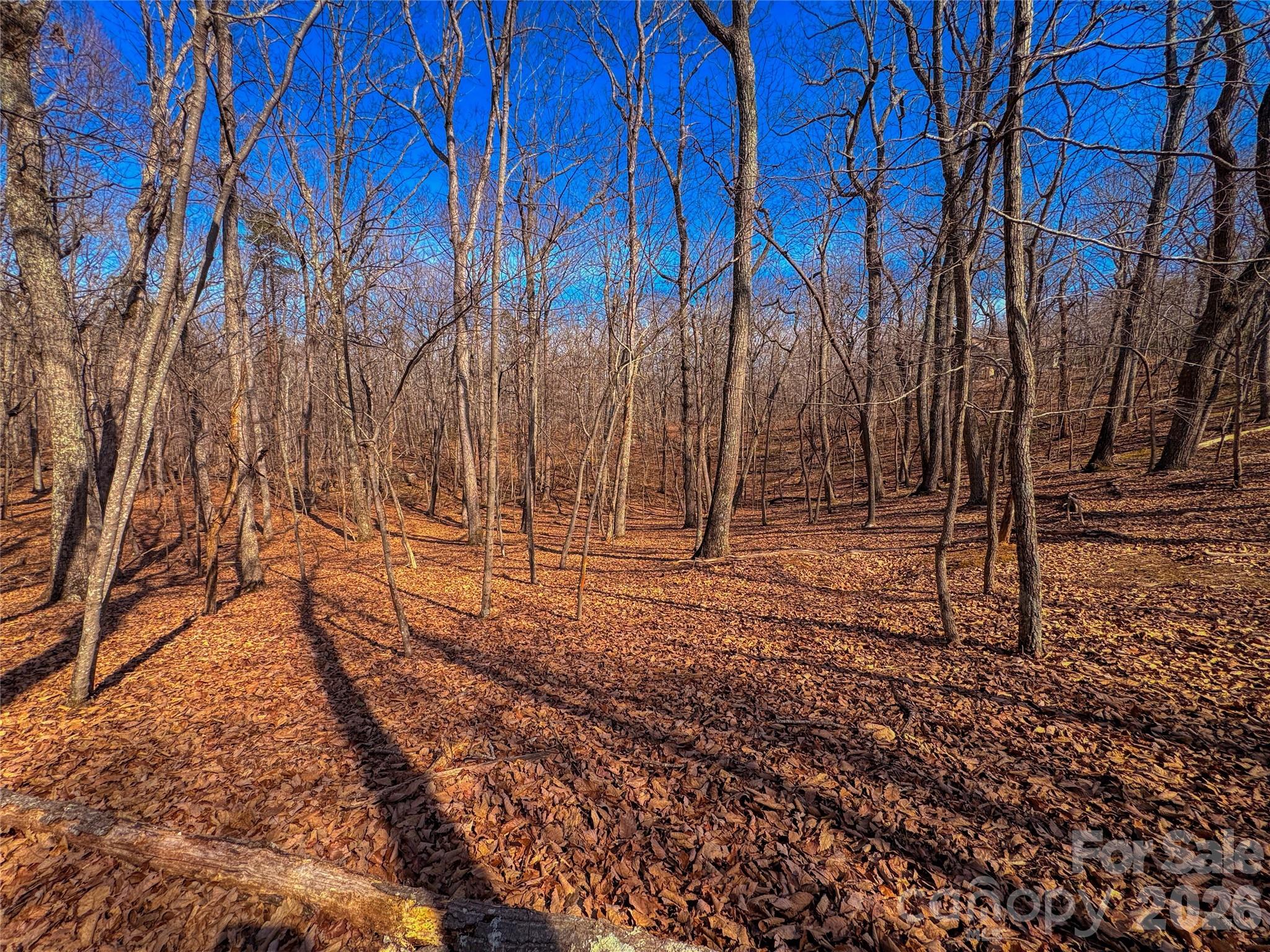 The Springs At High Rock - Land