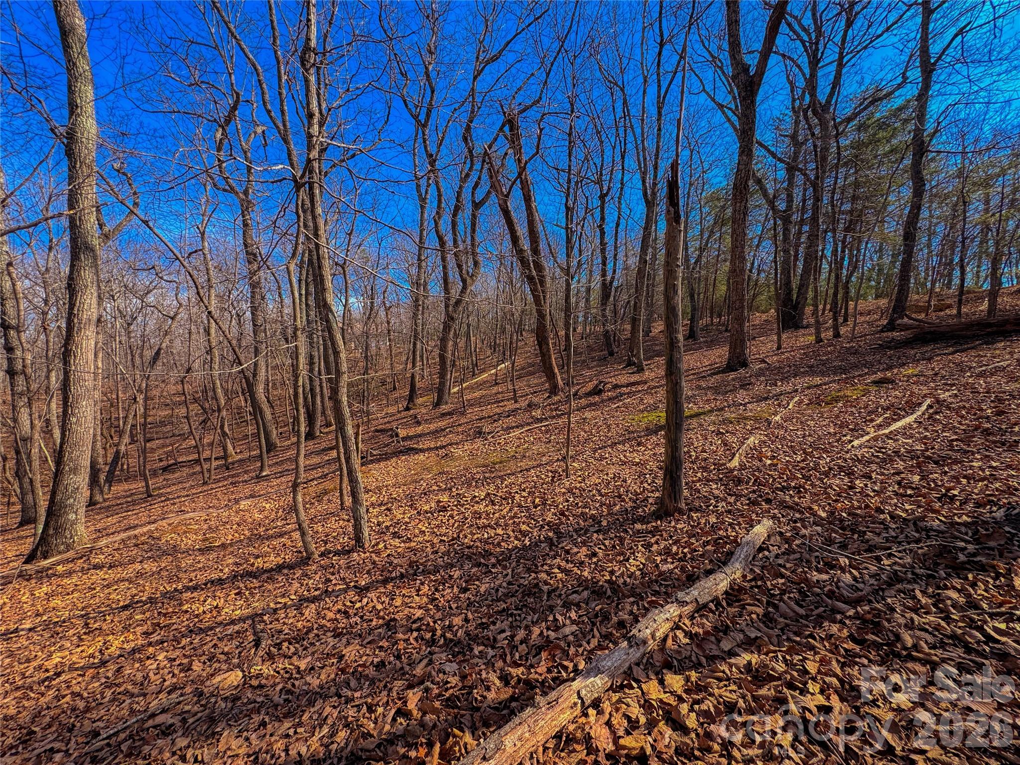 The Springs At High Rock - Land