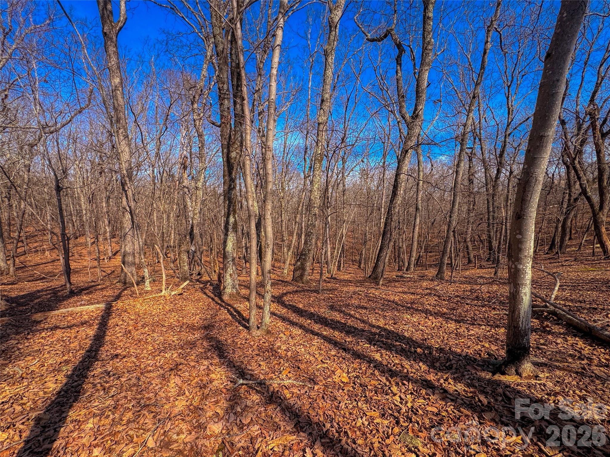 The Springs At High Rock - Land