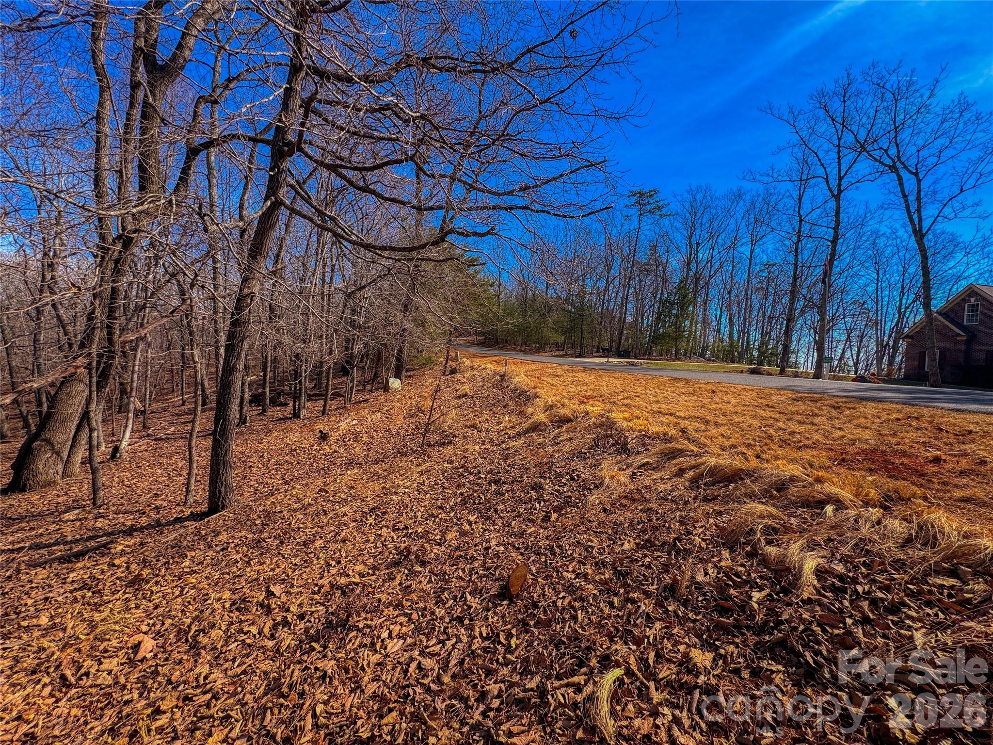 The Springs At High Rock - Land