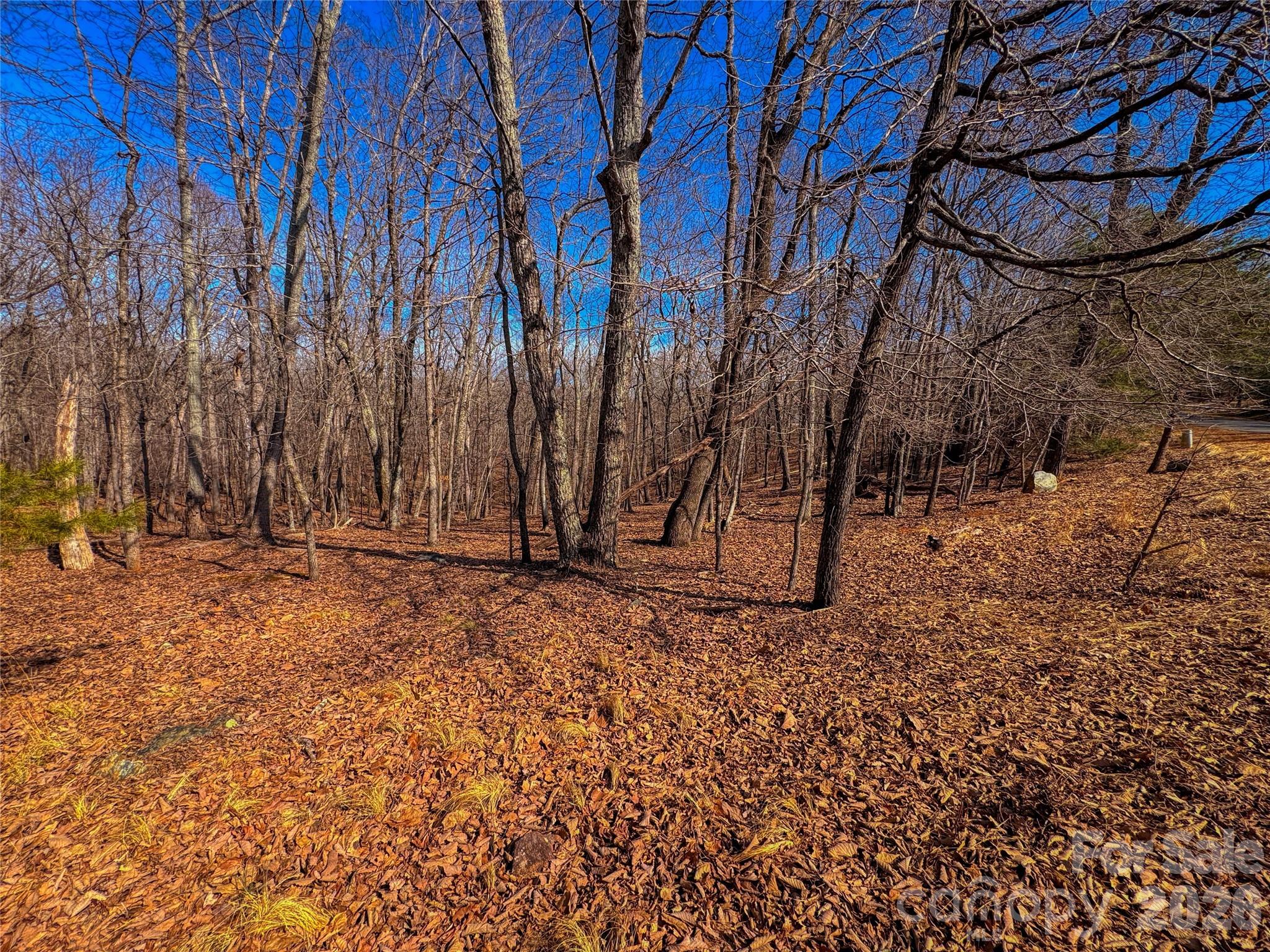 The Springs At High Rock - Land