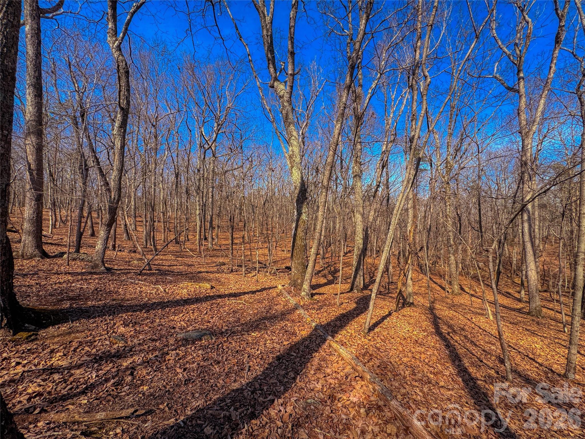 The Springs At High Rock - Land