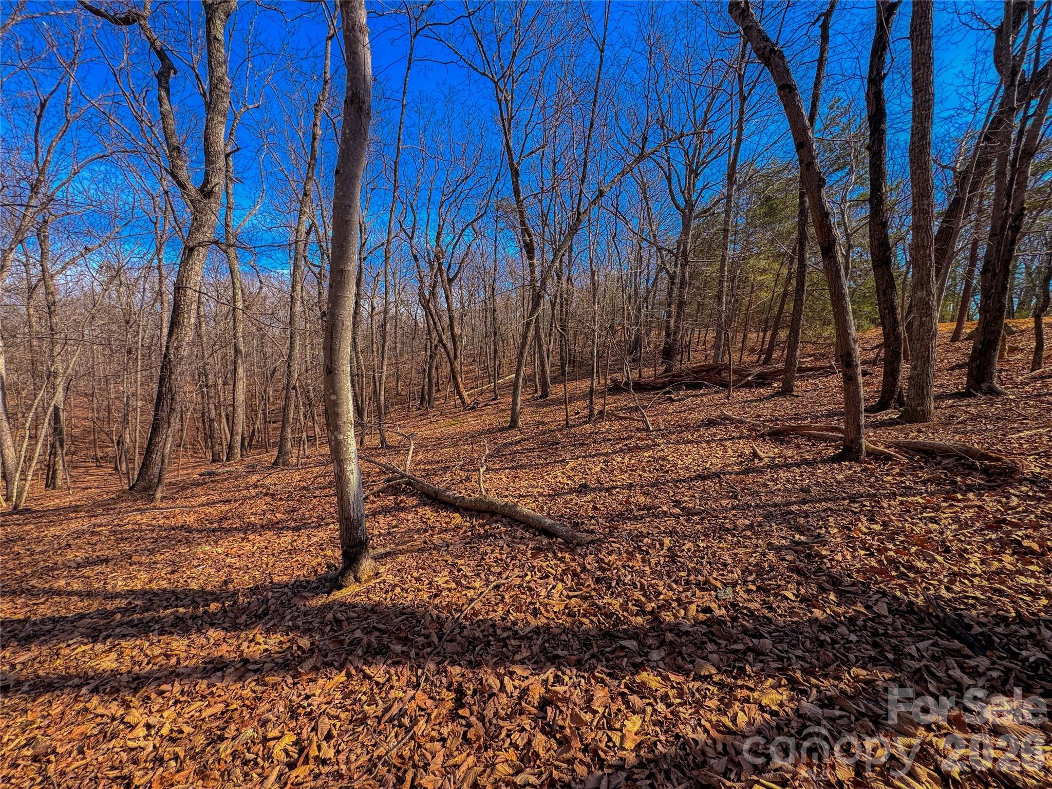 The Springs At High Rock - Land