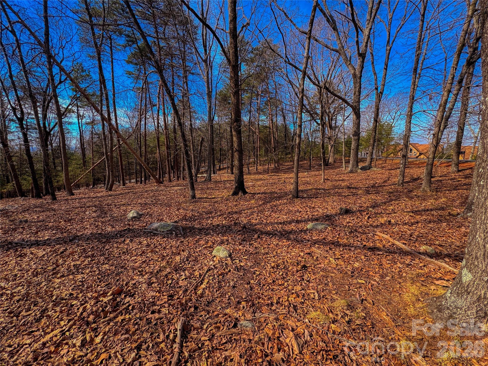 The Springs At High Rock - Land