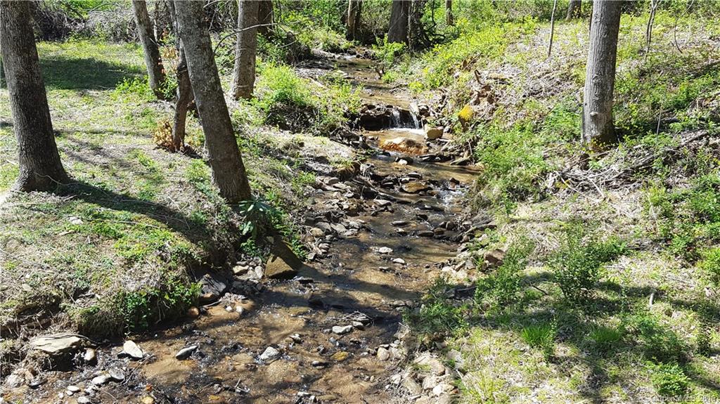 Riceville Forest - Residential