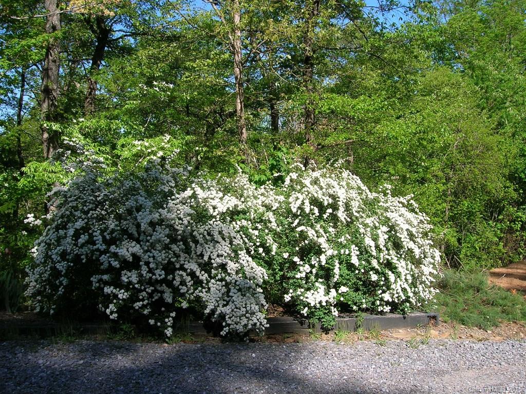 Riceville Forest - Residential