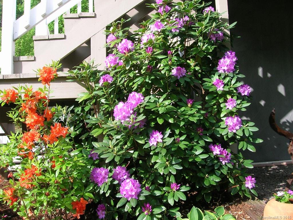 Riceville Forest - Residential