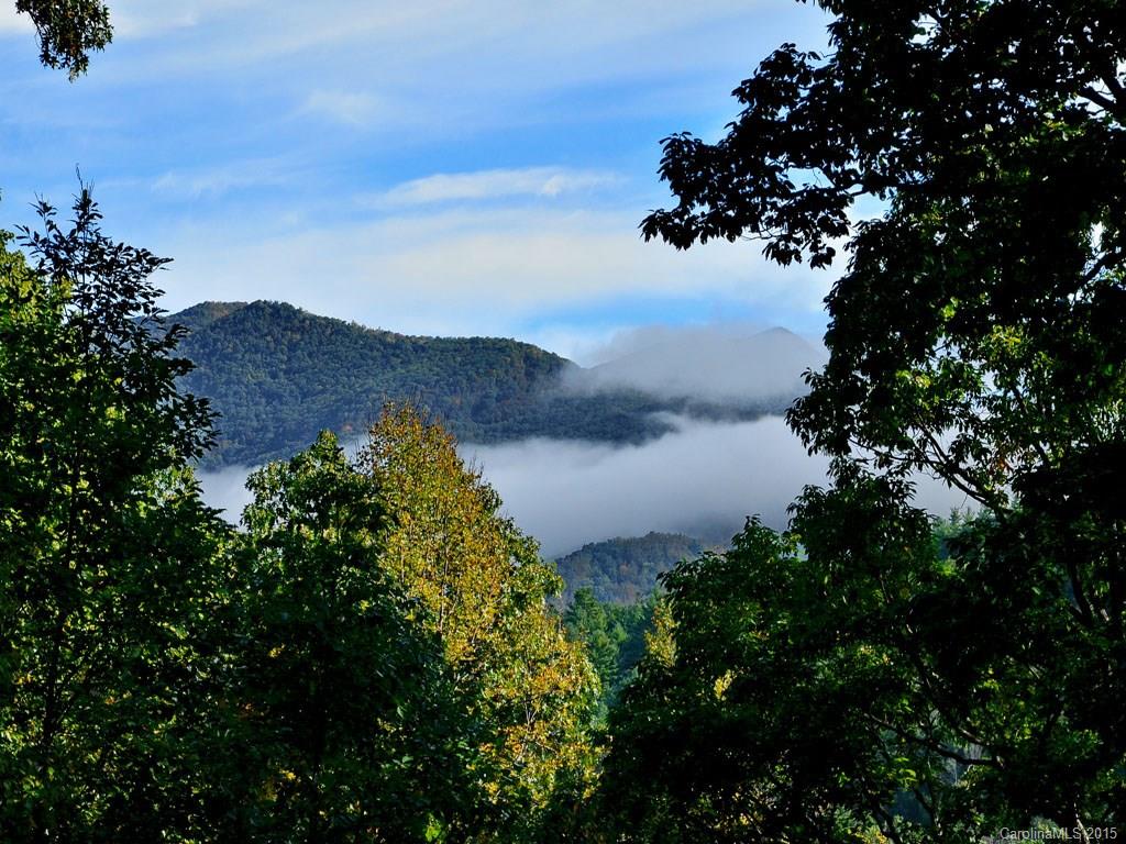 Riceville Forest - Residential