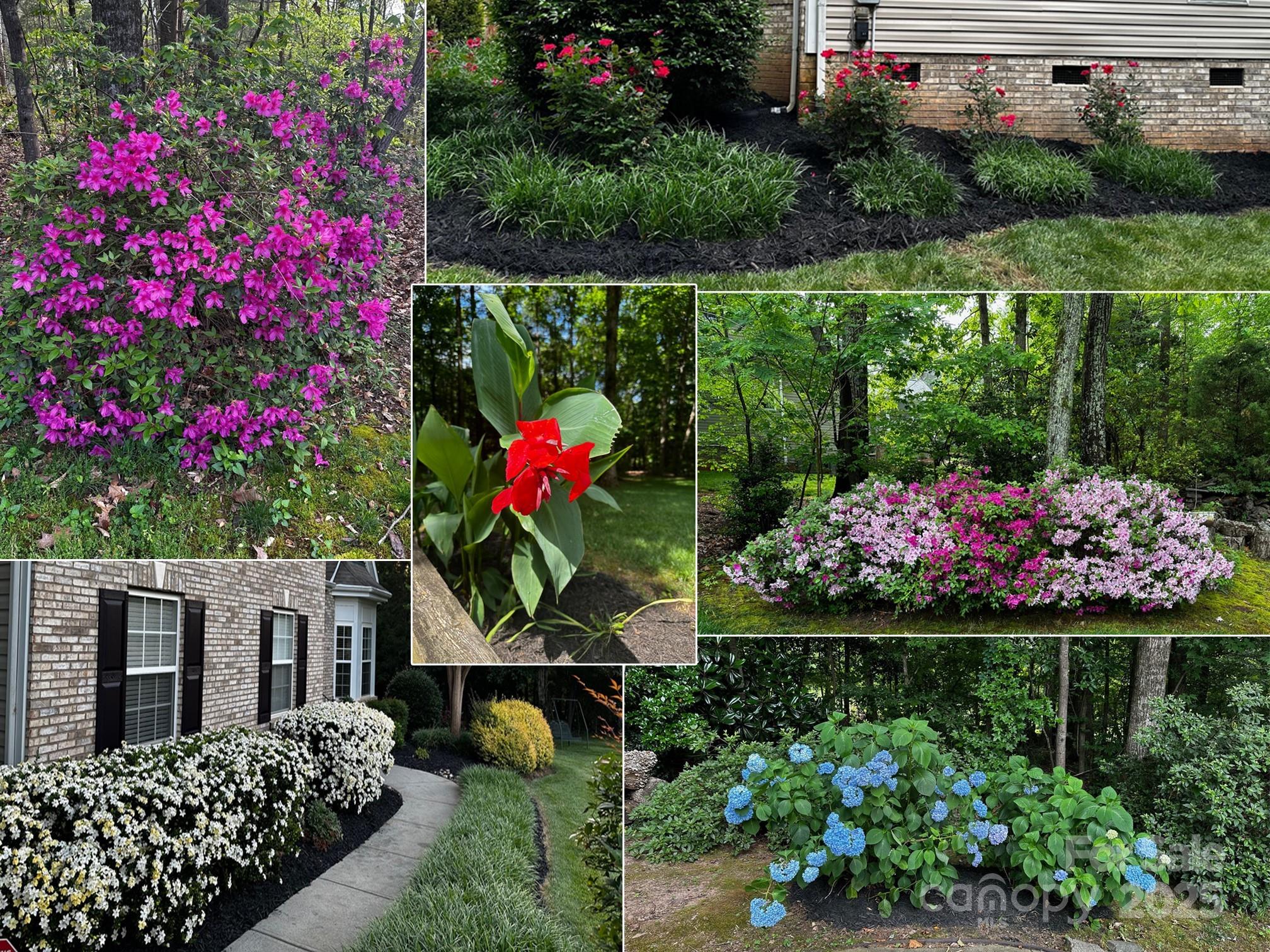 Lynnwood Farms - Residential