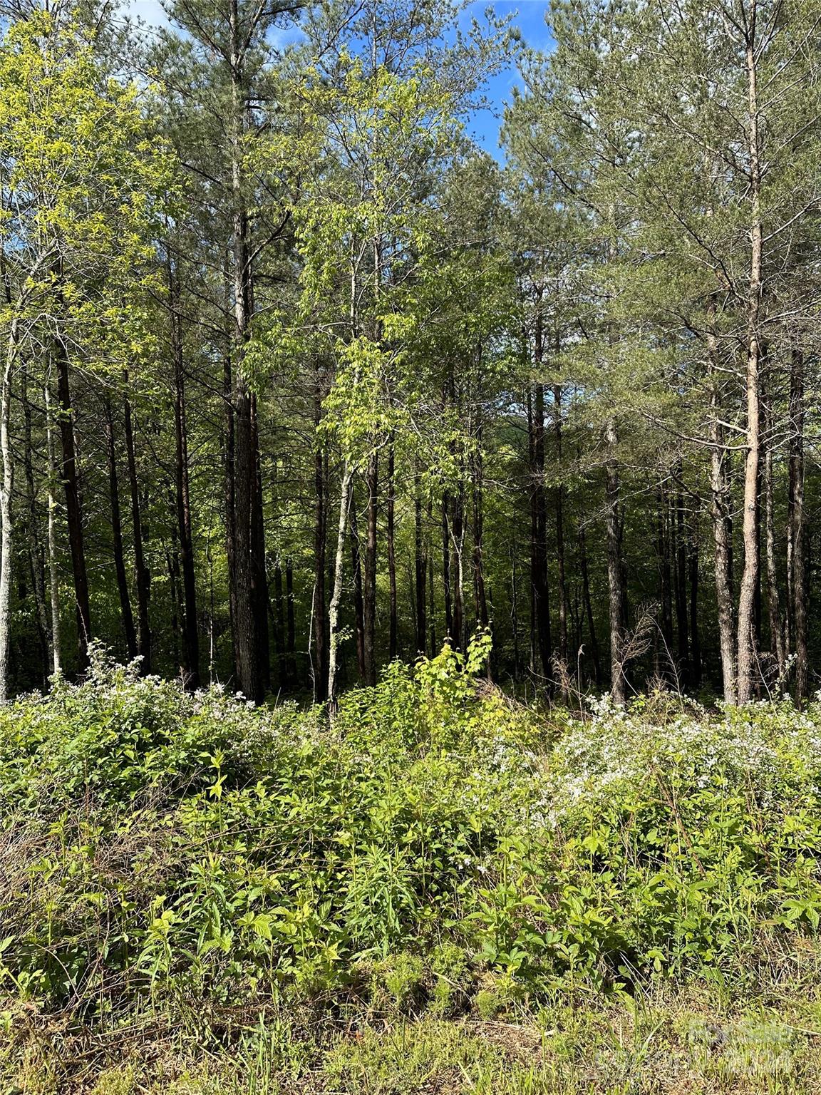 000 Shire Lane