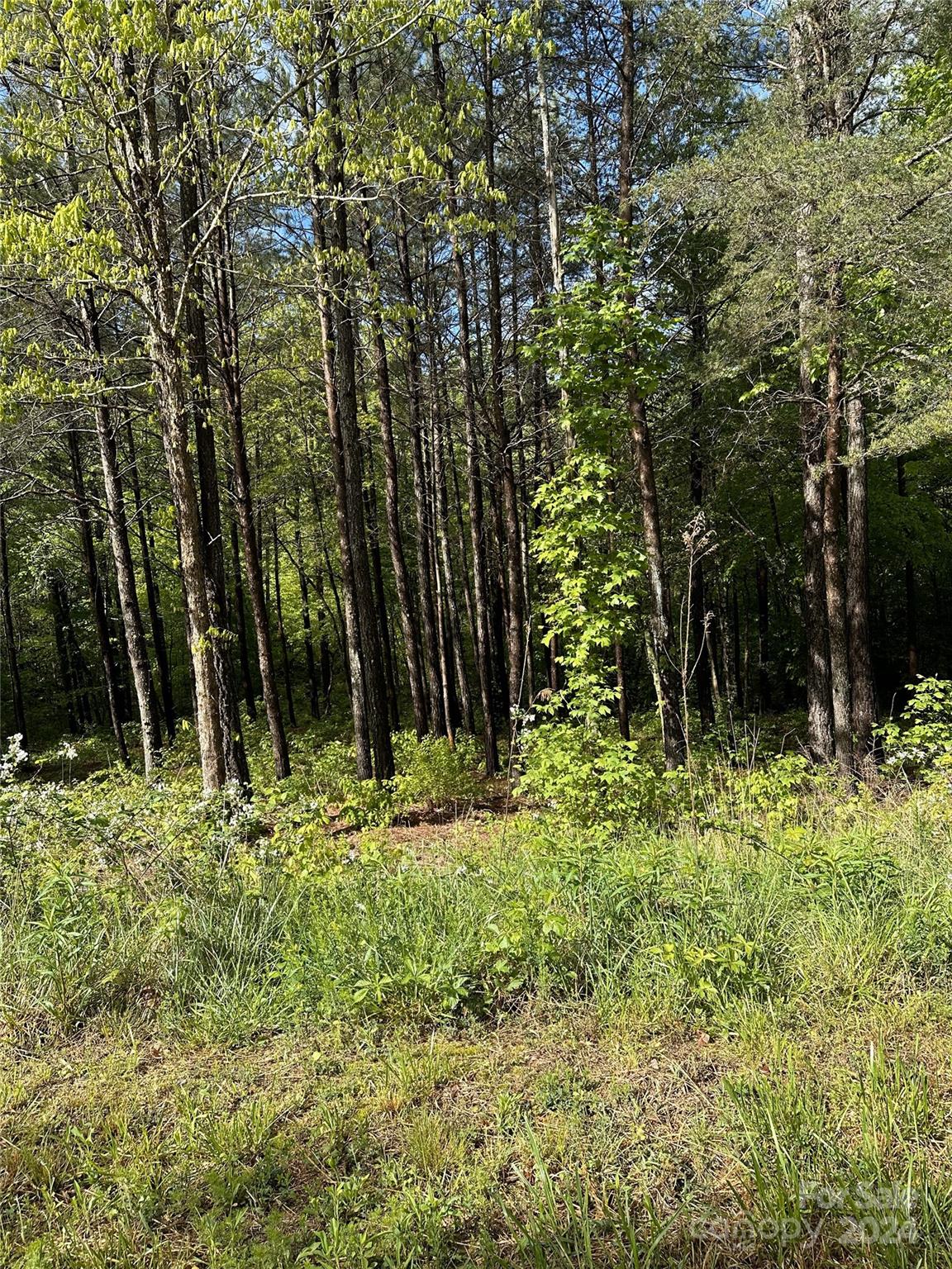 000 Shire Lane