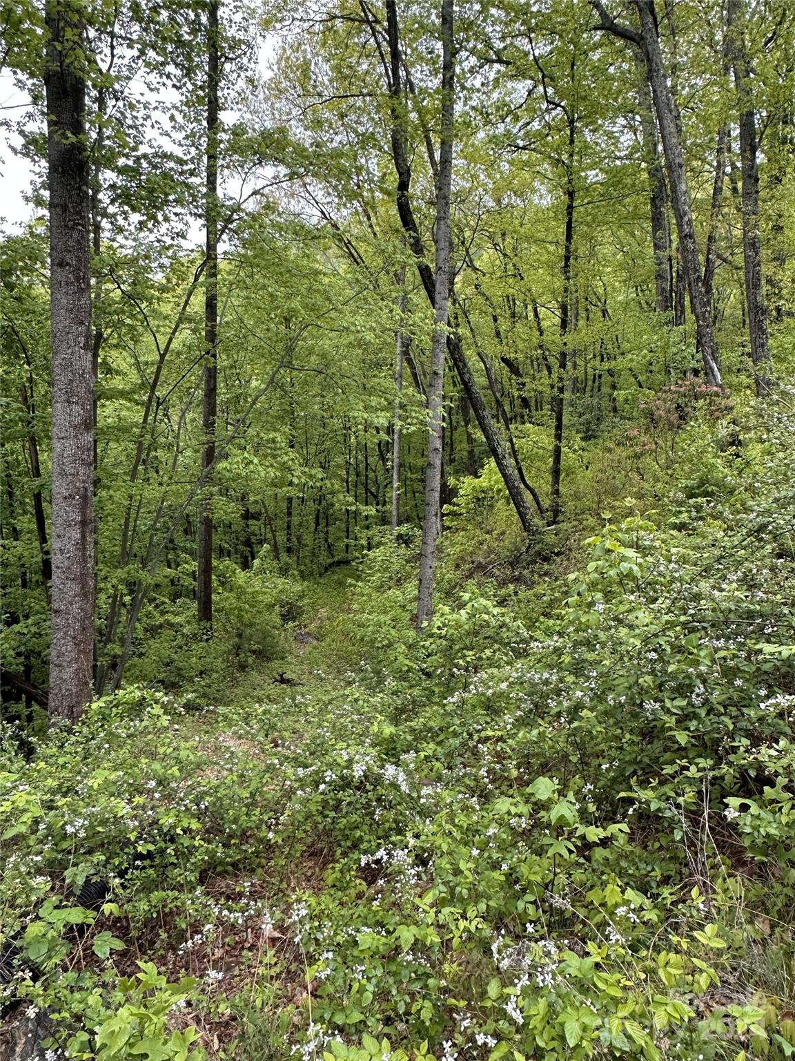 000 Shire Lane