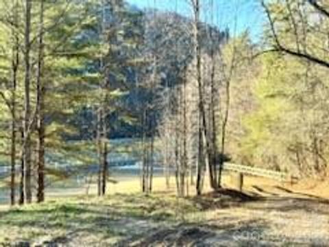 0 GREEN RIVER Road Zirconia NC 28790