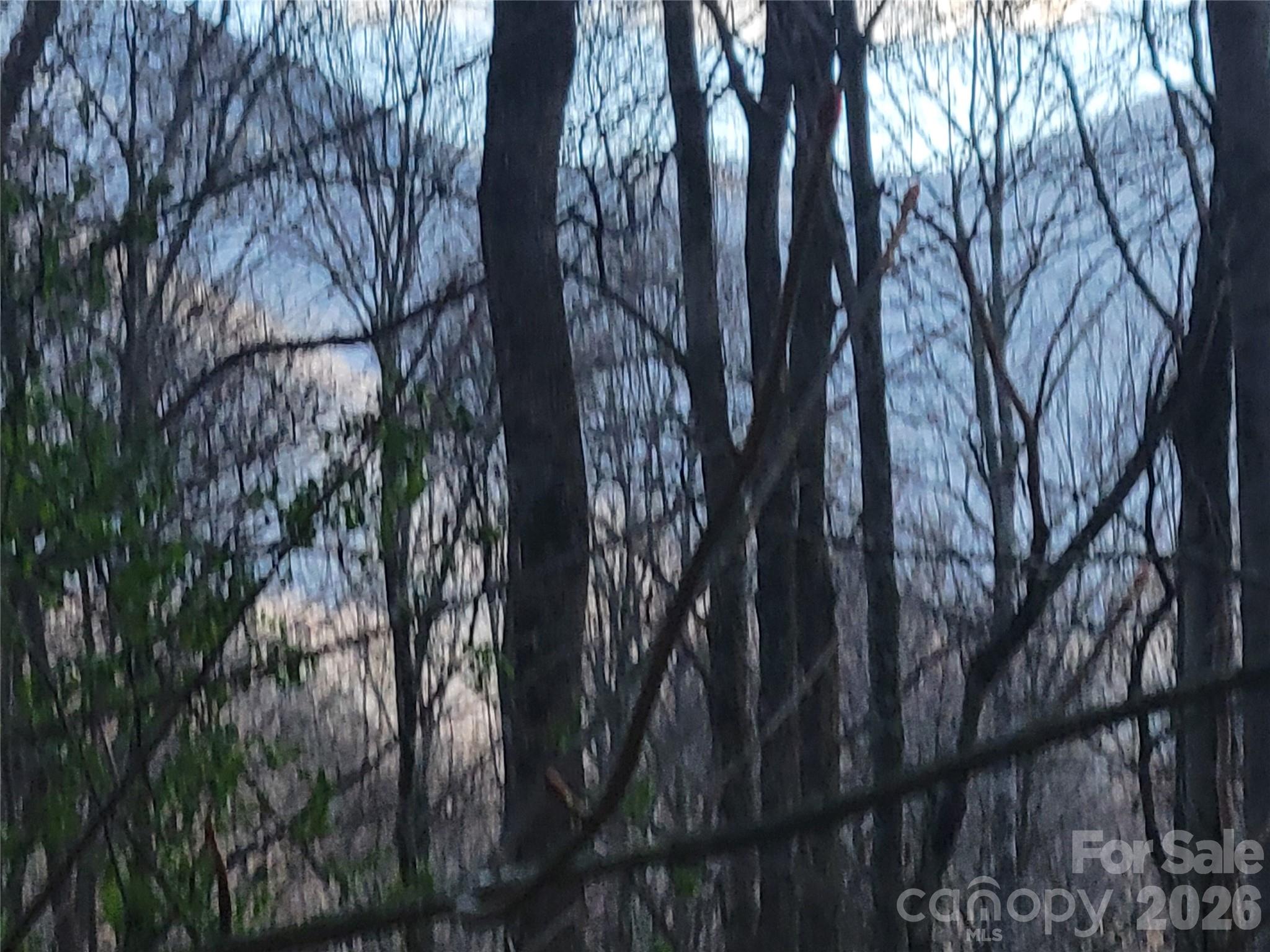 The Cove at Maggie Valley - Land