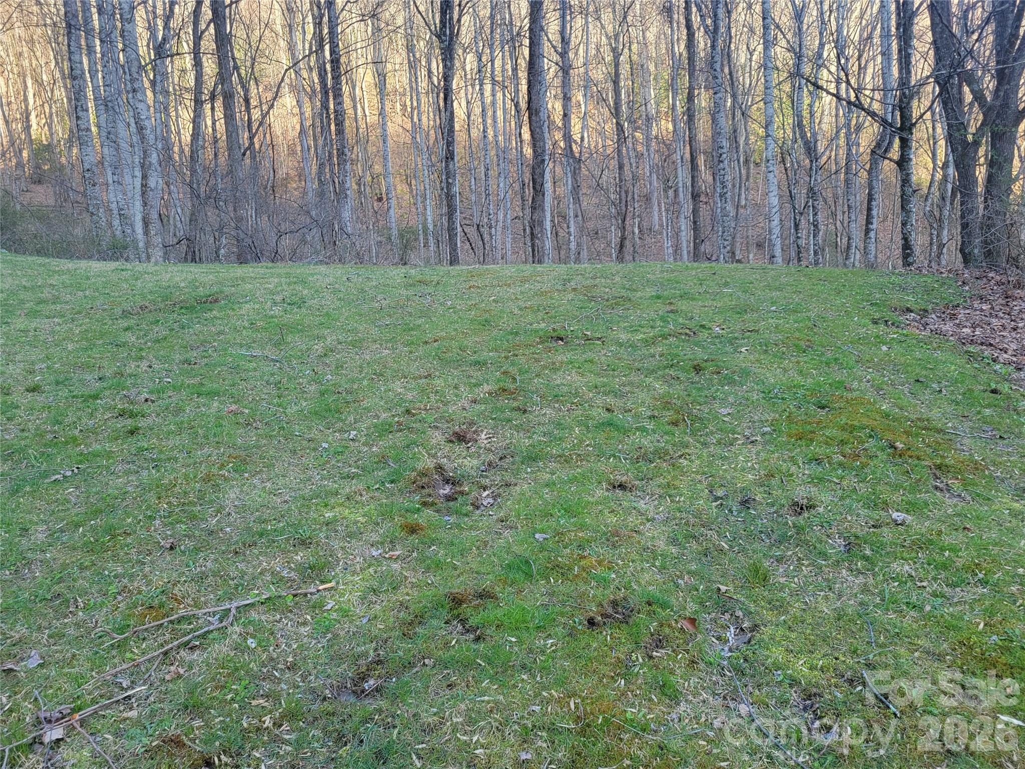 The Cove at Maggie Valley - Land