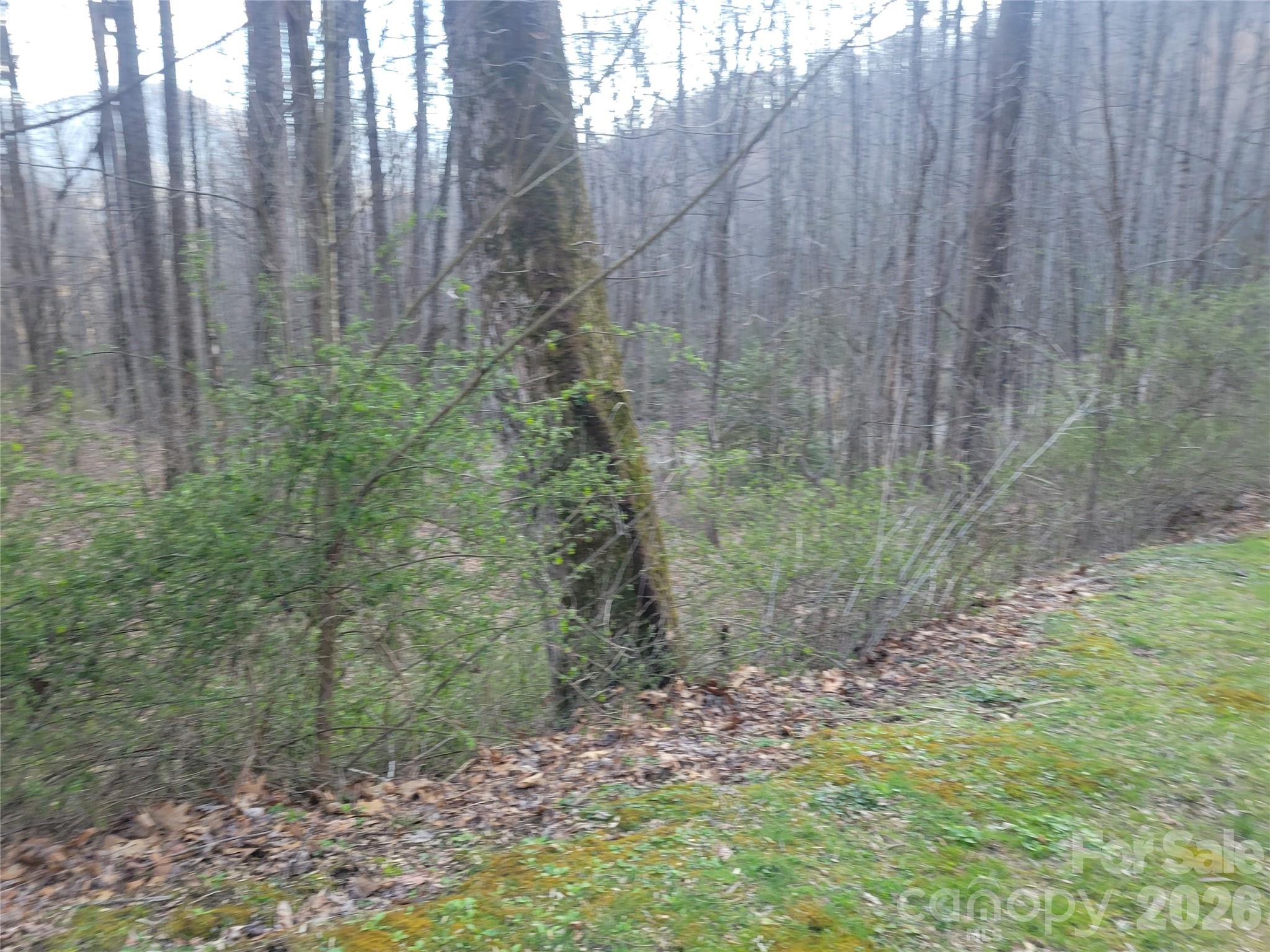 The Cove at Maggie Valley - Land