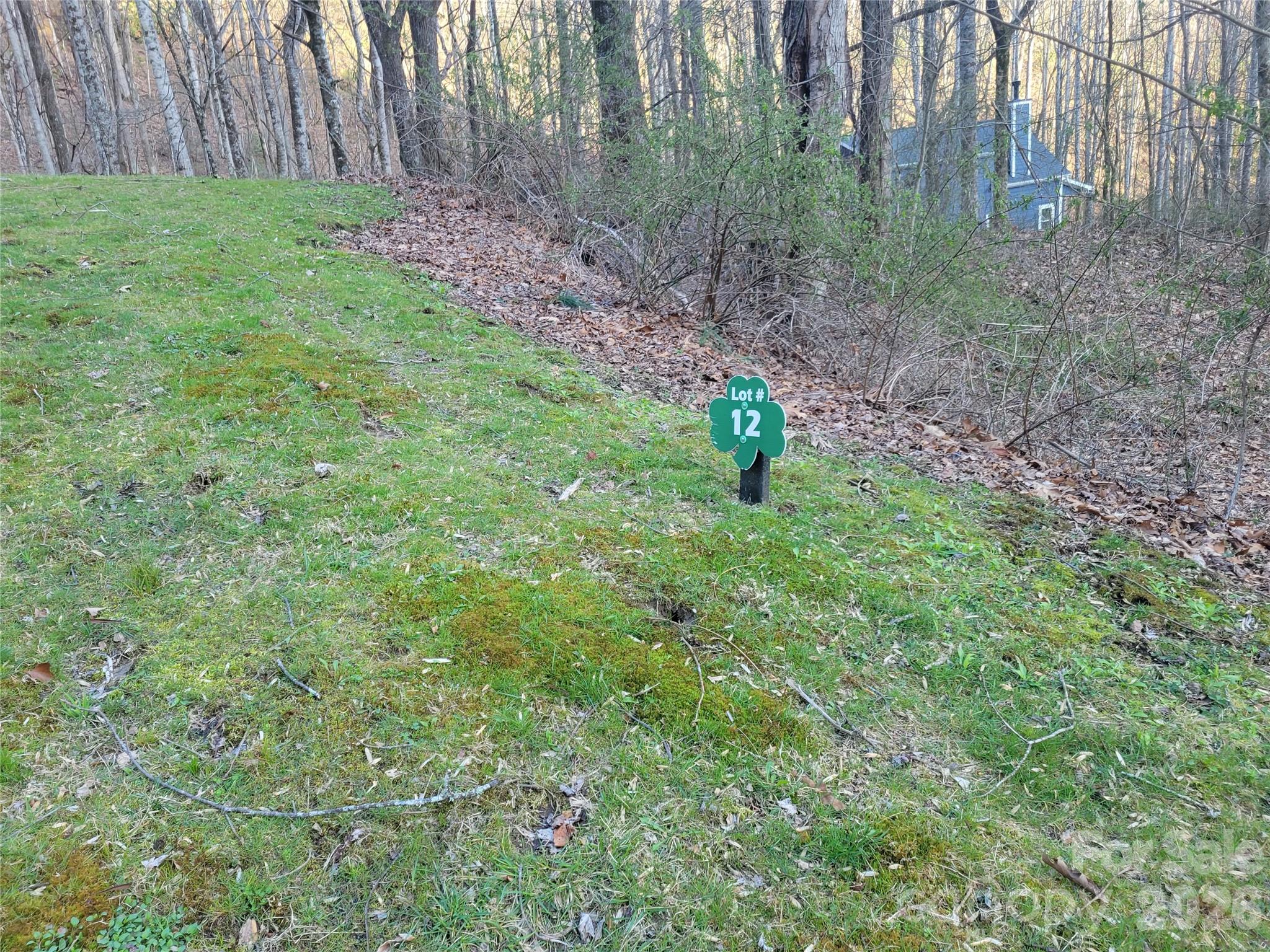 The Cove at Maggie Valley - Land