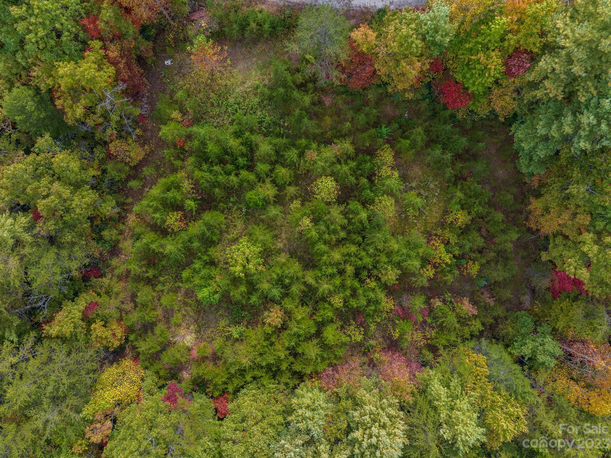 Wilderness Edge - Land