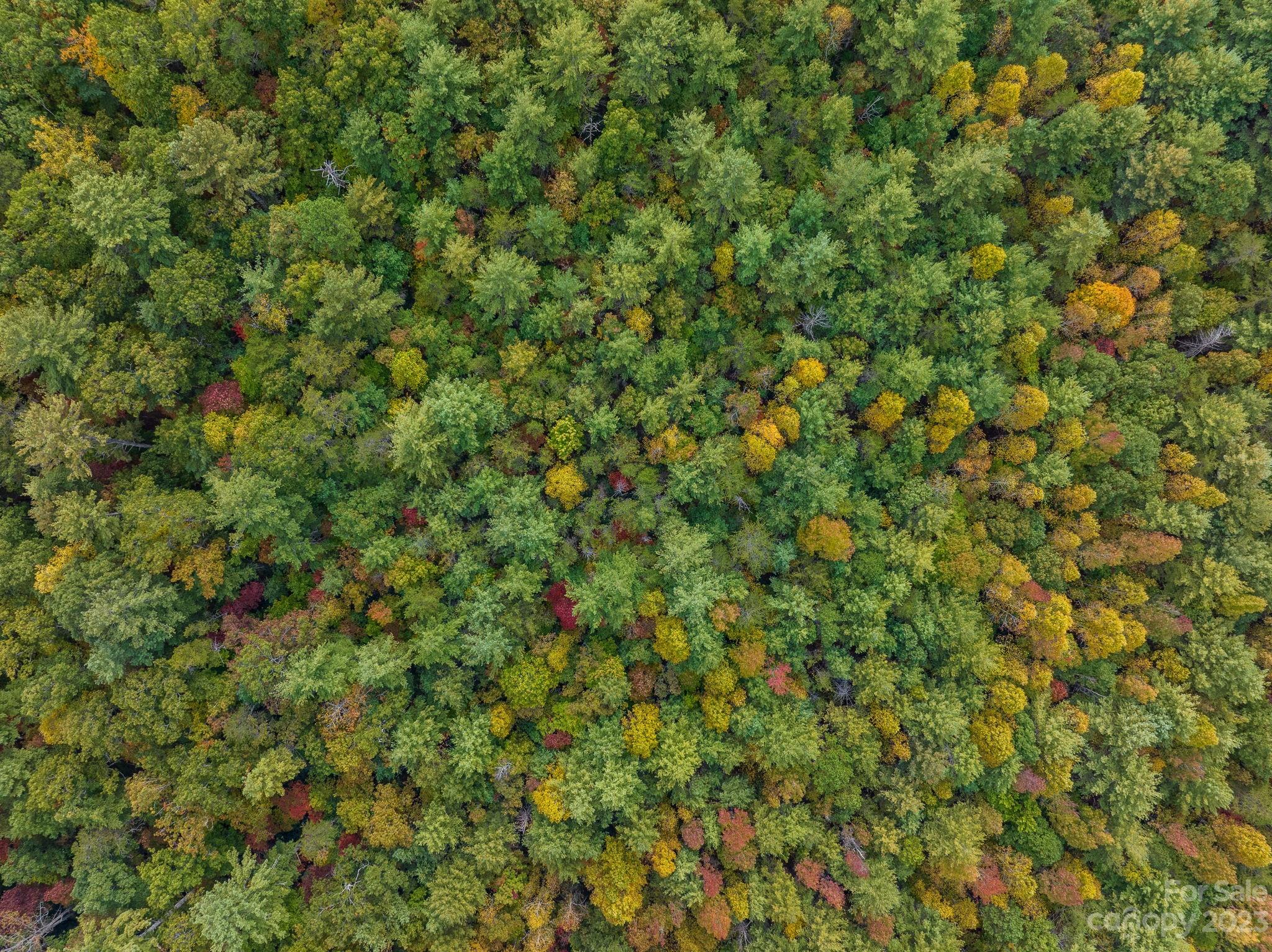 Wilderness Edge - Land