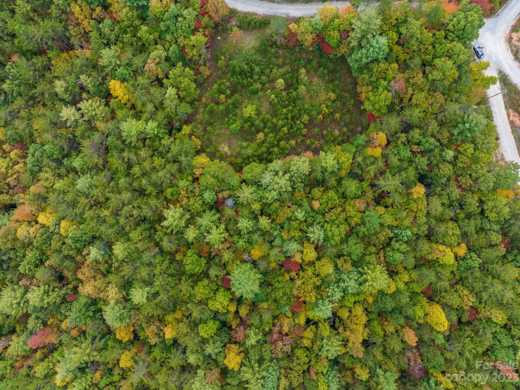 Wilderness Edge - Land