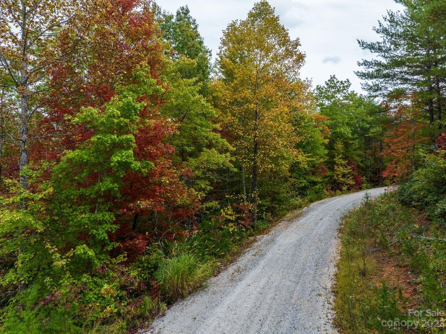 If you're looking for a private lot near picturesque Lake James, take a look at this 10+ acre beauty. Embrace the beauty of this pristine natural setting, where the possibilities are as vast as the landscape itself. Discover the true meaning of privacy as you unwind in your own woodland paradise. Build your home amidst the serenity of this forested landscape, or use it as a getaway to escape the hustle and bustle of everyday life. The proximity to Lake James means that adventure is always at your doorstep. Explore the lake's pristine waters, hike through the surrounding state parks, or take part in the countless recreational opportunities the region has to offer. The current owner previously cleared a potential home site. Hunting, camping, fishing and a grazing animal are allowed in Wilderness Edge Subdivision. Custom built modulars are also allowed. A full list of deed restrictions and allowances can be found in Burke County Register of Deeds Book/Page: 1477/318.
