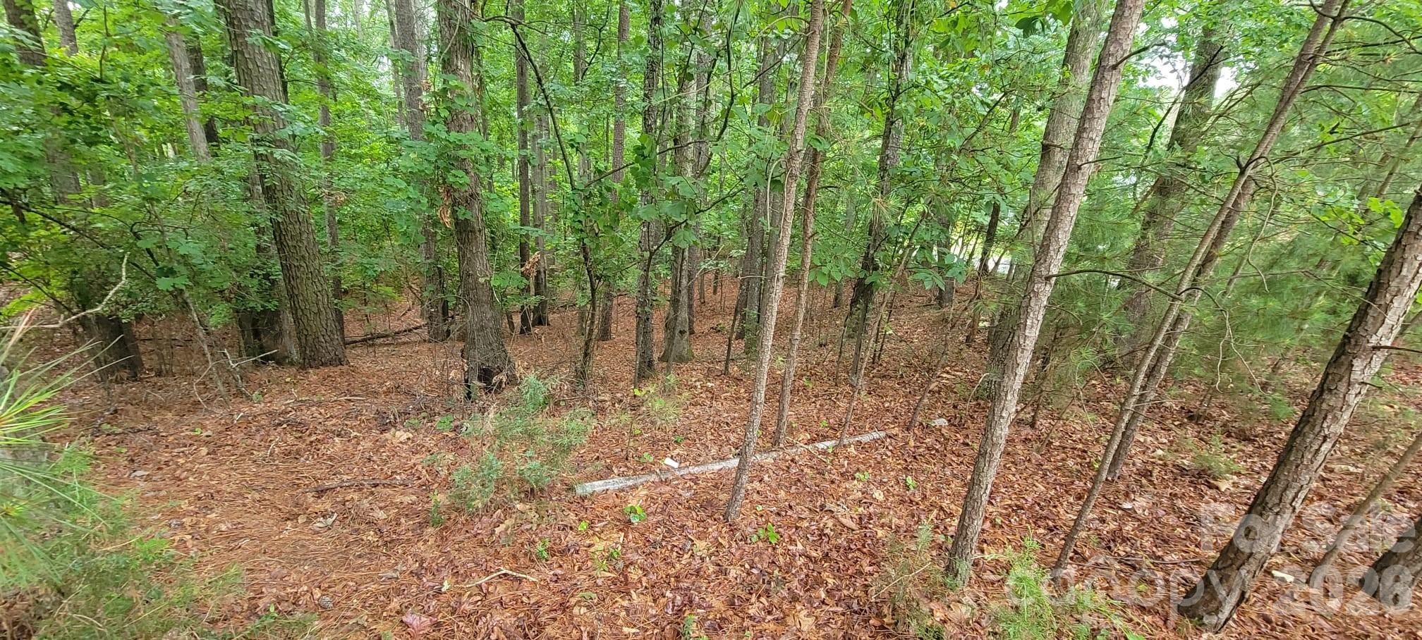 4000 Beechwood Spring Lane