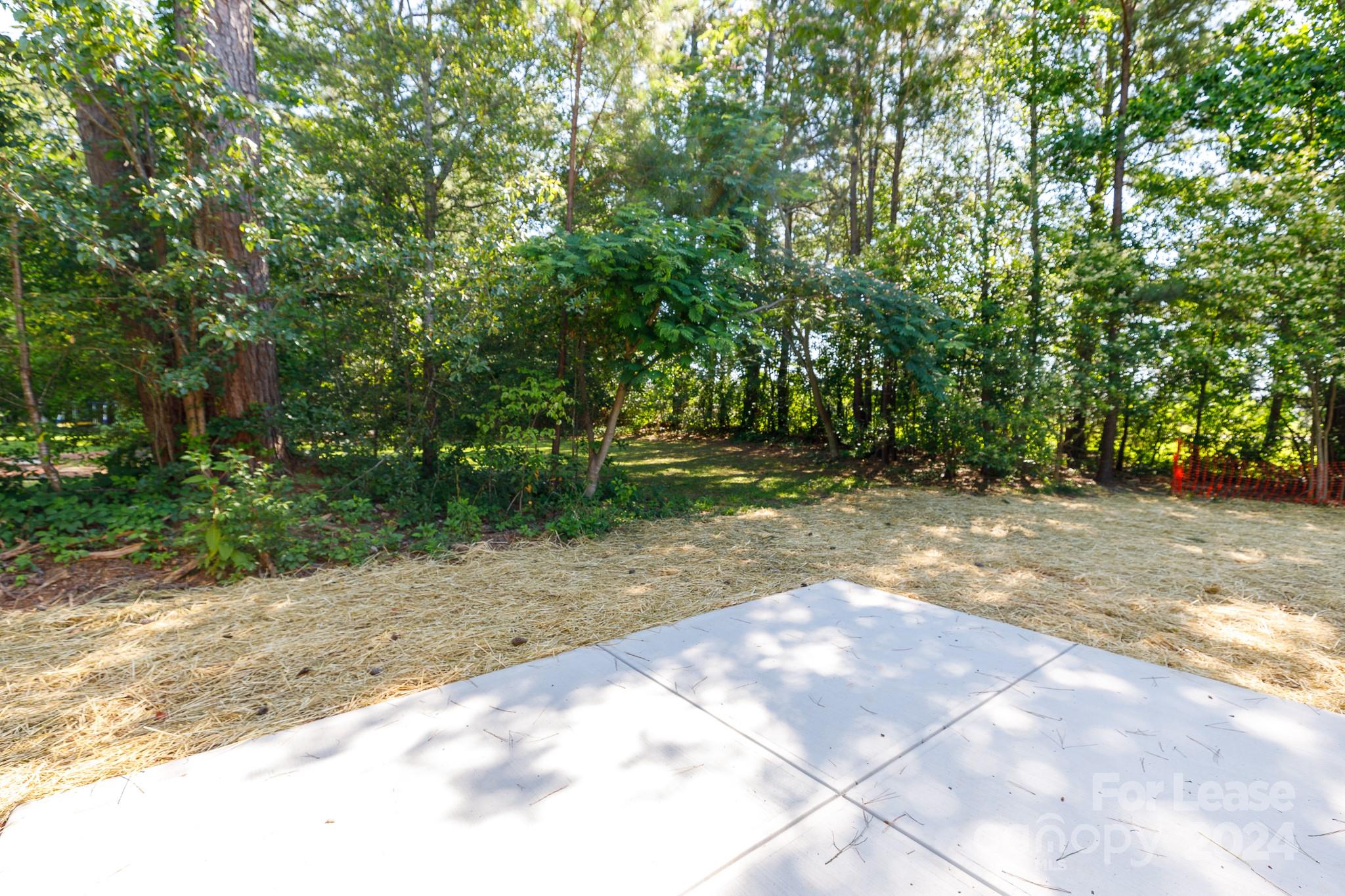 None - Residential Lease