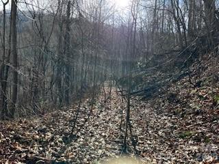 Sweetwater Farm - Land