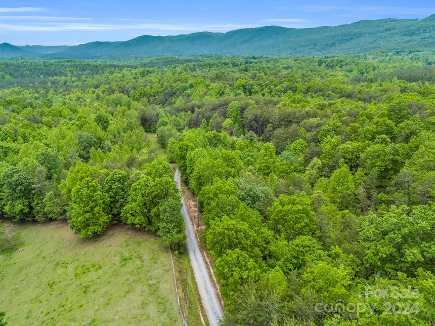 Private, yet easily accessible! 4.36 acres in Polk County is waiting for your vision and close to Lake Adger and Lake Lure.  The property has been surveyed and is part of a larger parcel that has been divided into three parcels, each with its own unique opportunity for building a home for yourself or for someone else. This lot has an ideal building site. Minimal restrictions will be aimed at preserving value while allowing personal freedom. Looking for something sized more for your liking? No problem. Each of the lots can be sold individually or together but don't wait. The flexibility of this opportunity will only last as long as all parcels remain available which, given the value presented here, wont be long. Schedule your time to explore today!
