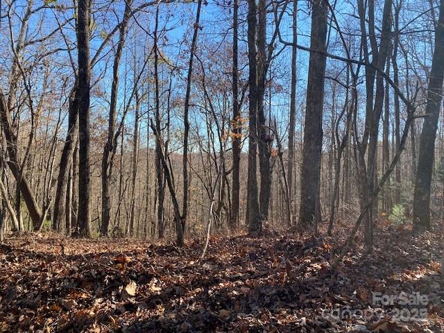 U09 L046 Connestee Trail