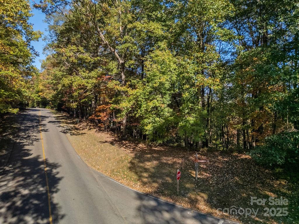 Connestee Falls - Land