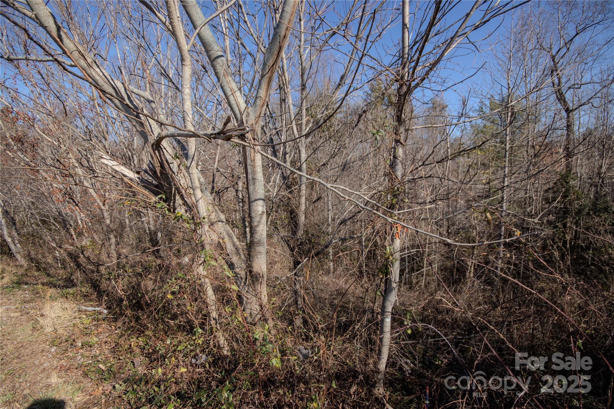 708 Chatsworth Circle SE 3