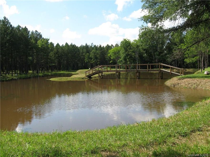 Level forest land near I-77 SC Exit 65.  75+/- ac planted pines w/ sawlogs & poles.  36+/- ac hardwoods for cover/acorns for deer/turkey.  Nice camper goes w/ underground power, septic & well.  Stocked fishing pond has nice fountain and island.  Pond is over 1.3 acres and has bass, bream and catfish.  Mostly larger parcels surround this extraordinary tree farm.  Come make your retreat with big game and waterfowl only a short drive to Charlotte NC.