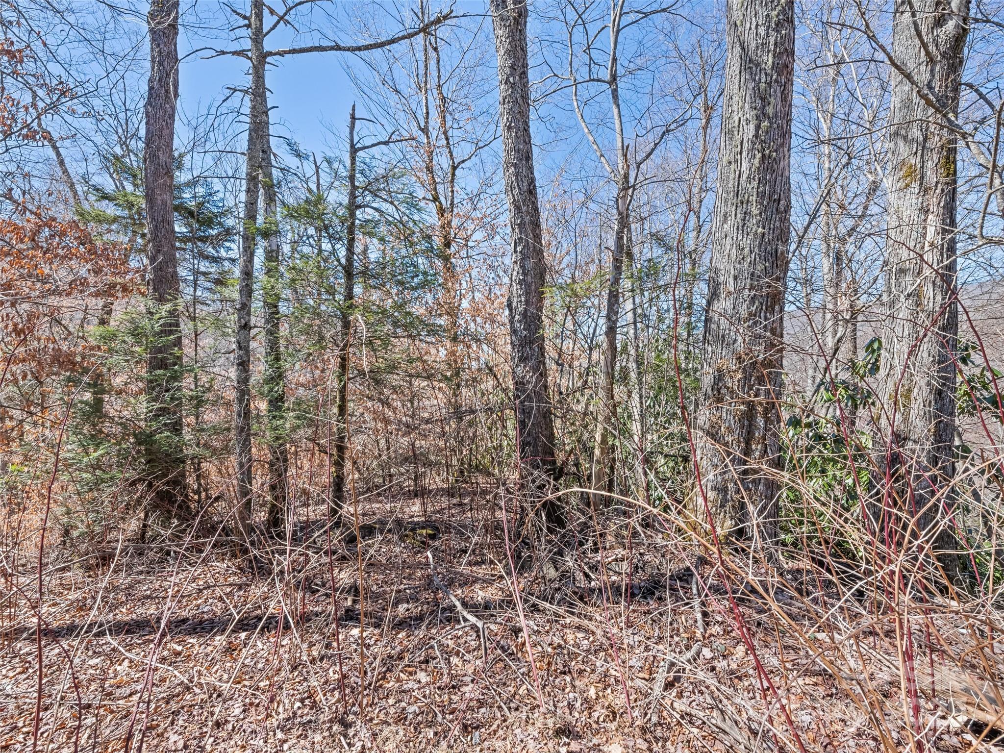 Cranberry Falls - Land